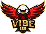 logoVIBE189